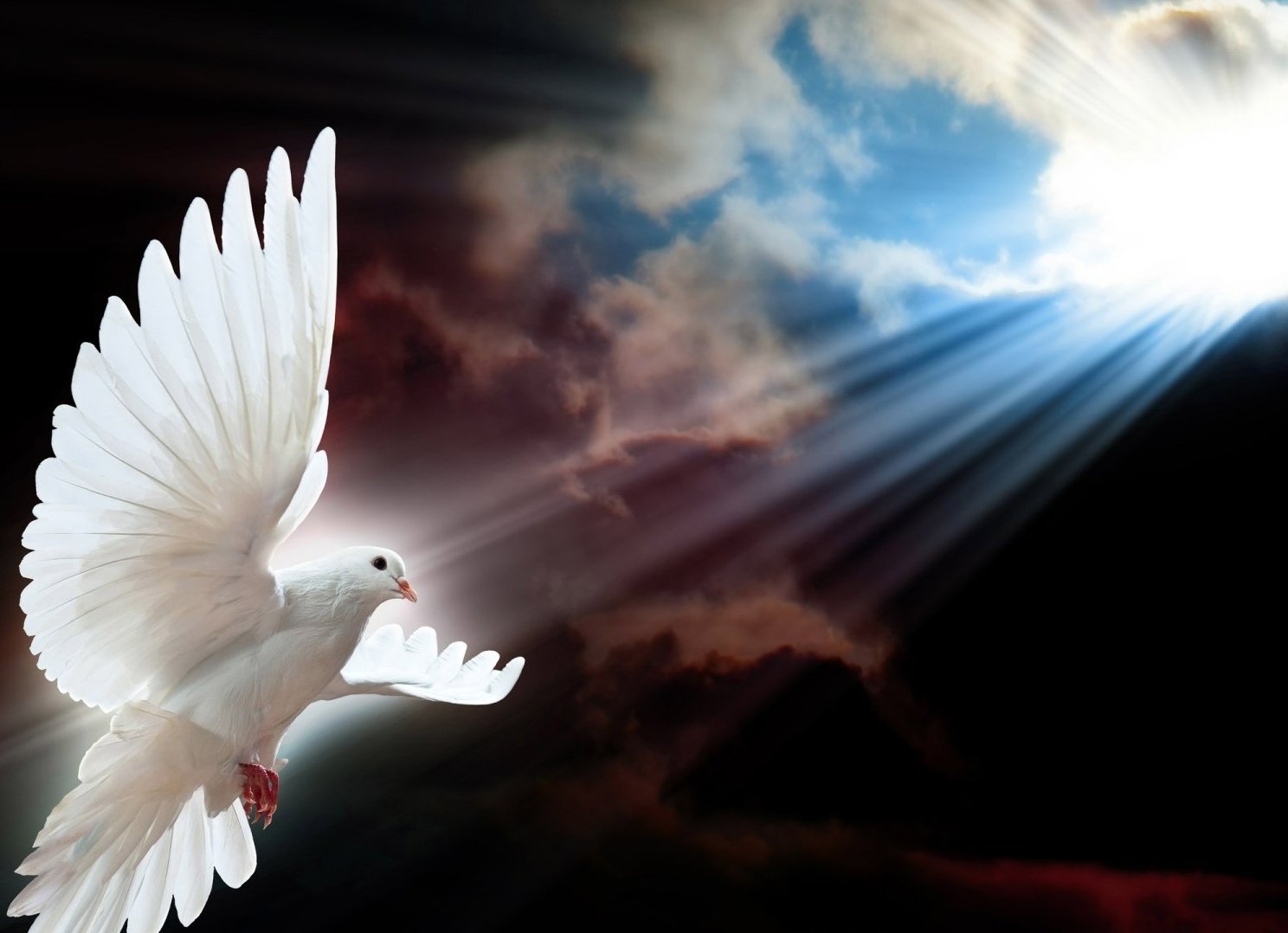 dove-peace-rays