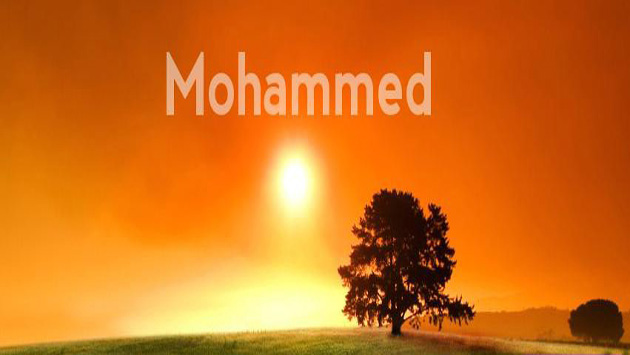 How did Prophet Muhammad React to Personal Abuse?